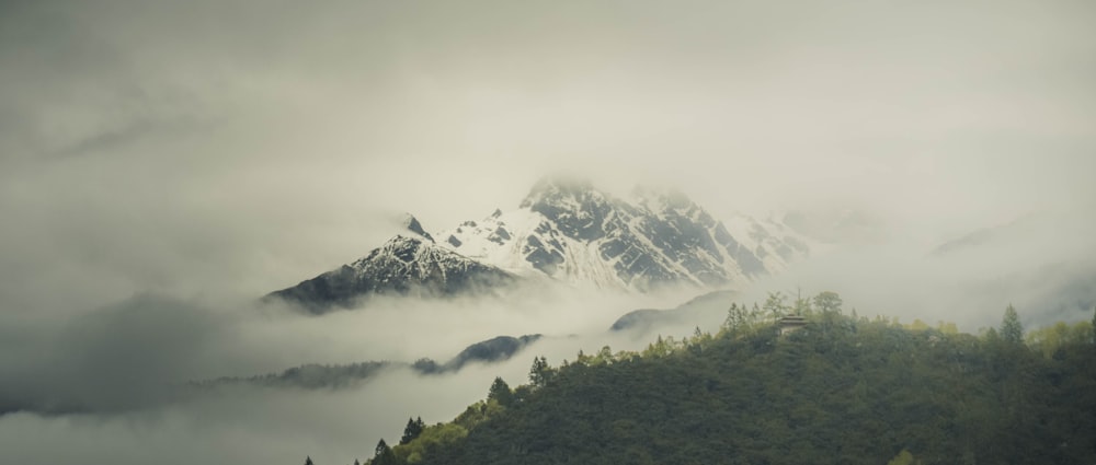 a mountain covered in fog and low lying clouds