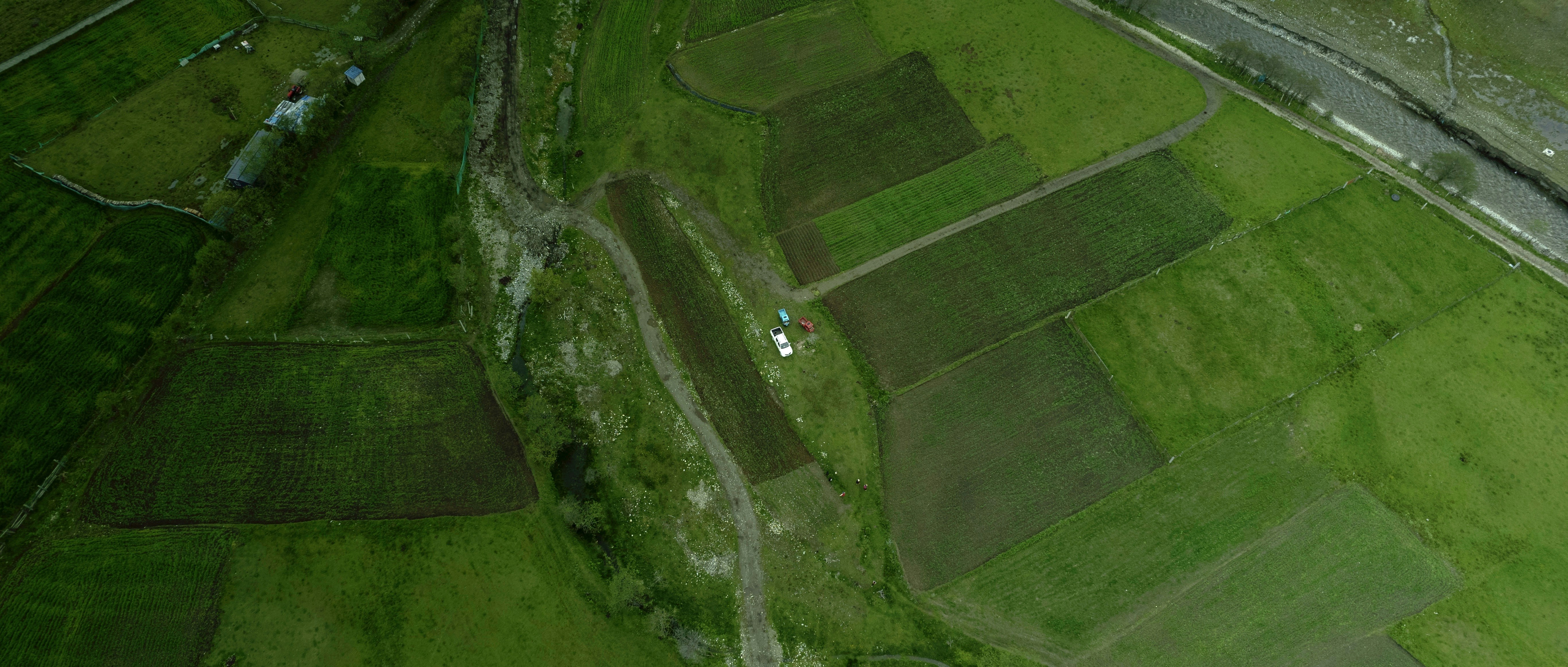 Photo by yoghurtninja