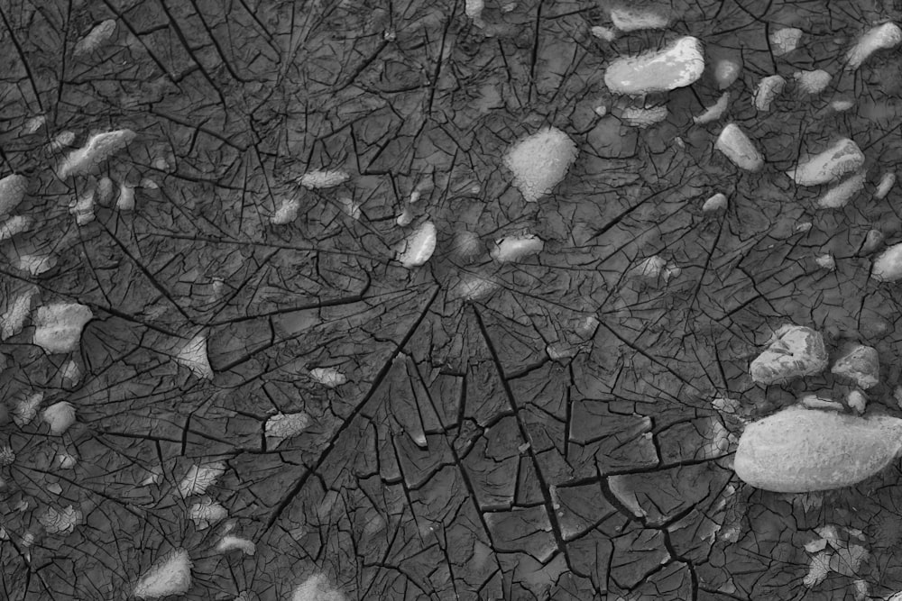 a black and white photo of a cracked surface