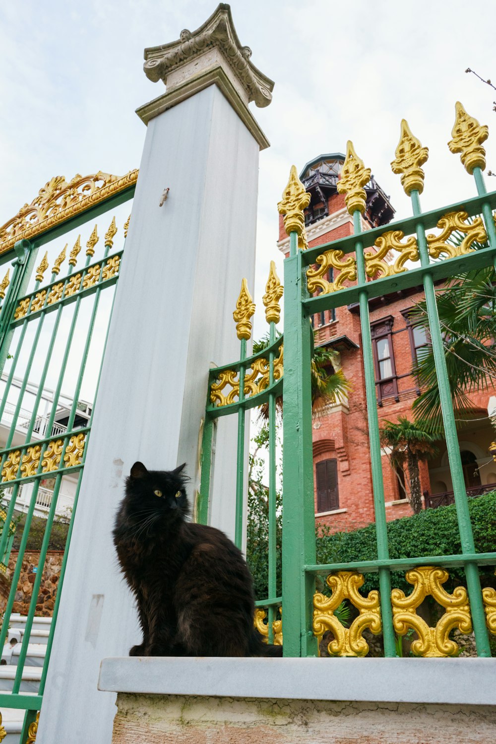 a black cat sitting on a step in front of a gate