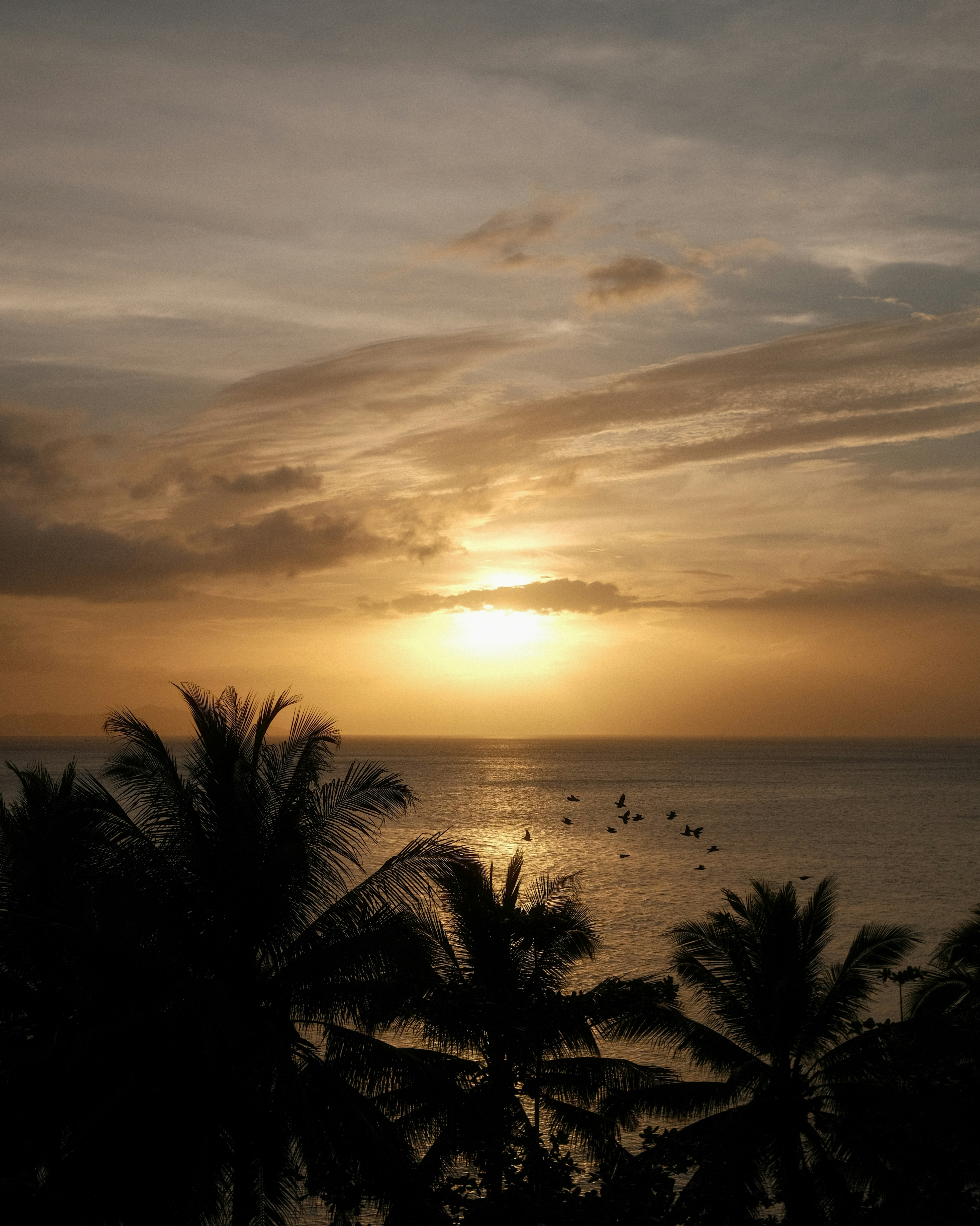 Photo by roberto_j_saldana