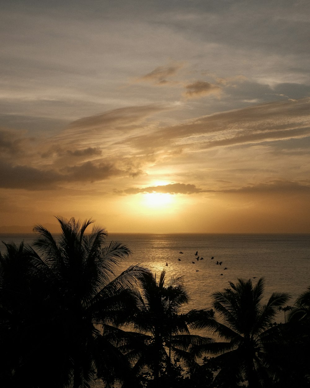 the sun is setting over the ocean with palm trees