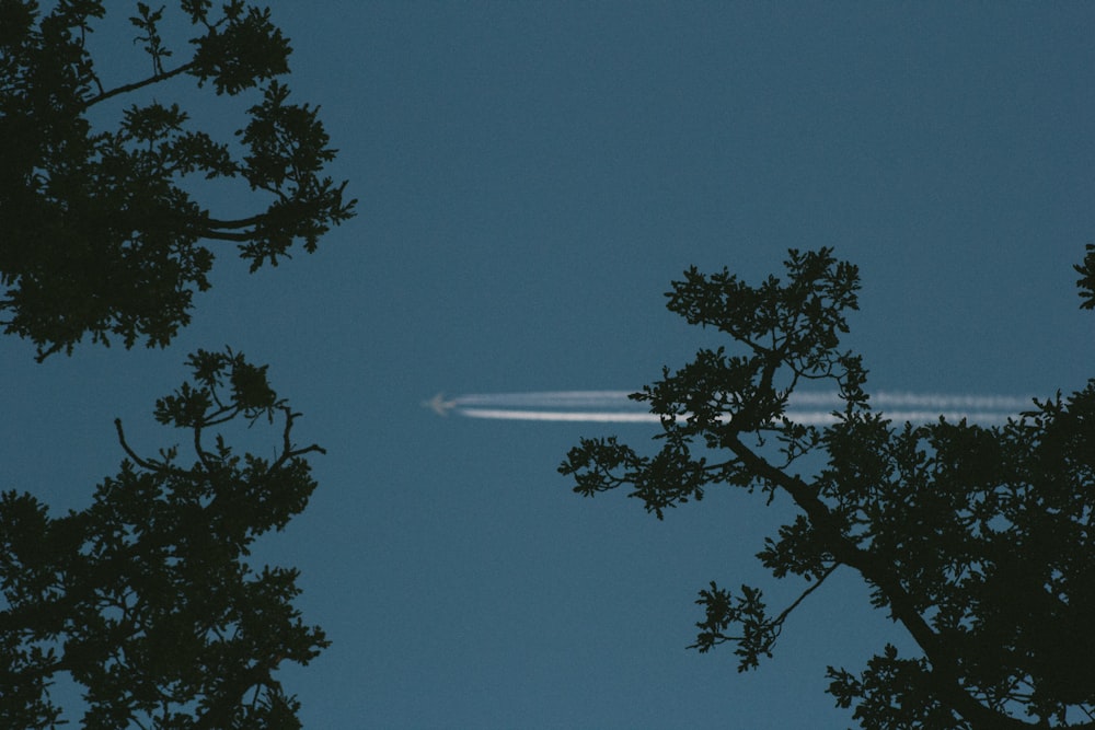 a jet flying through a blue sky next to trees