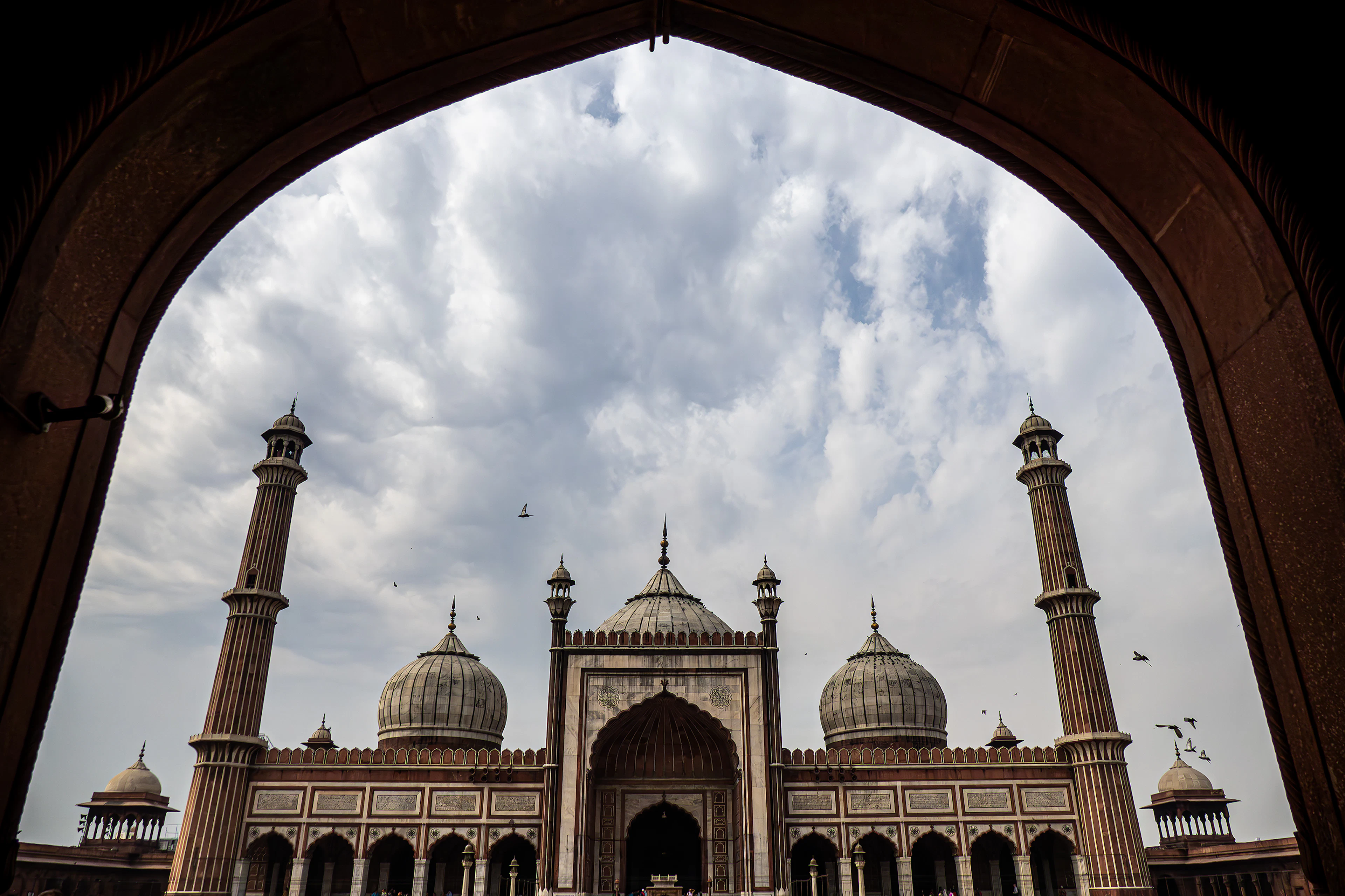Jama Masjid's domes and minarets framed by a stone archway under dramatic clouds, birds overhead.