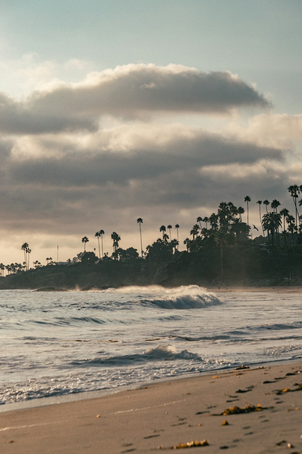 a person riding a surfboard on top of a sandy beach