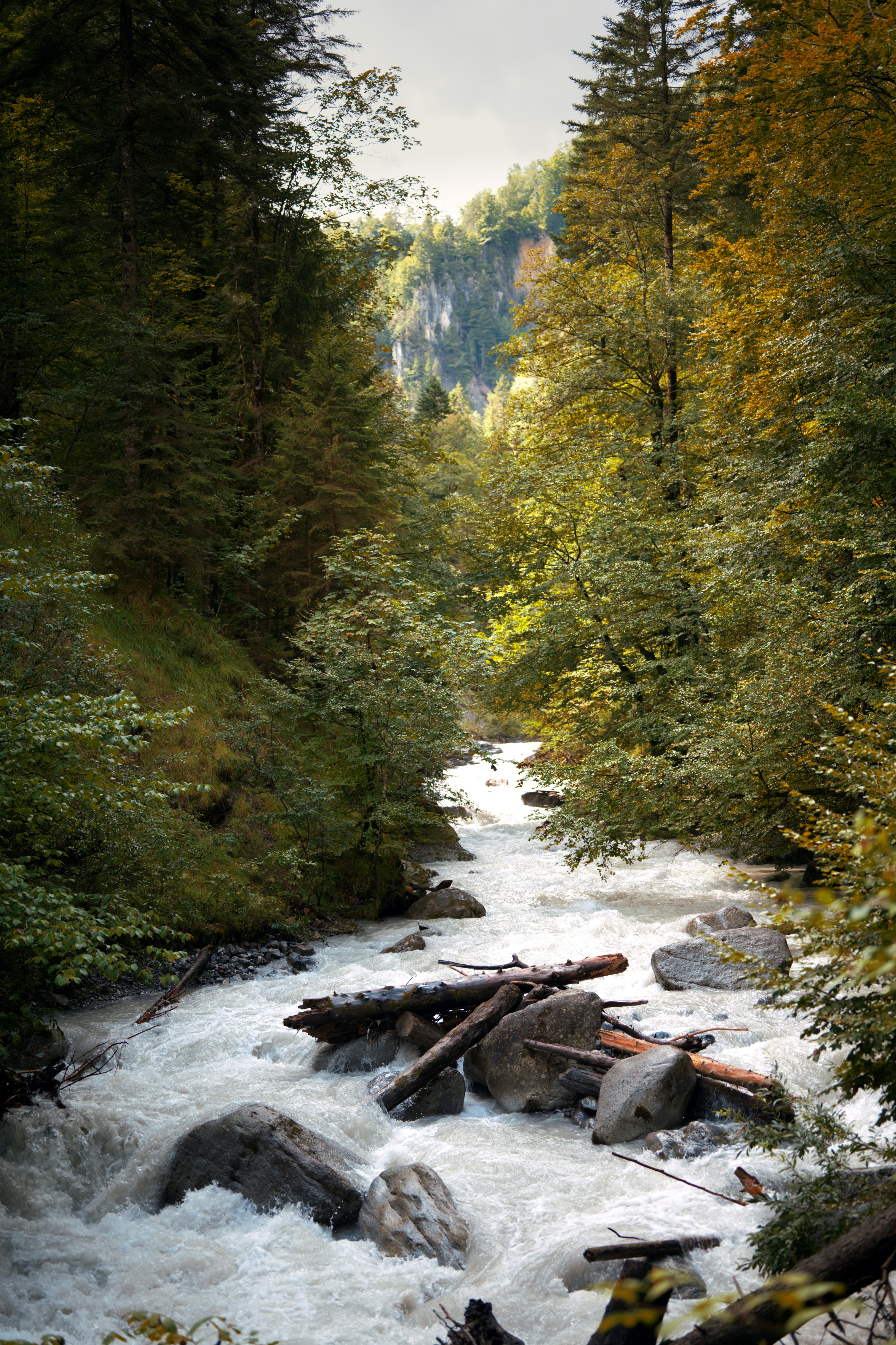 Photo by job_vermeulen