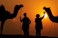 Best Pet-Friendly Cafes in Pushkar Where Your Dog Is as Welcome as You