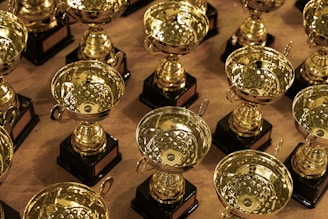 a bunch of trophies sitting on top of a table