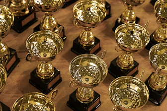 a bunch of trophies sitting on top of a table