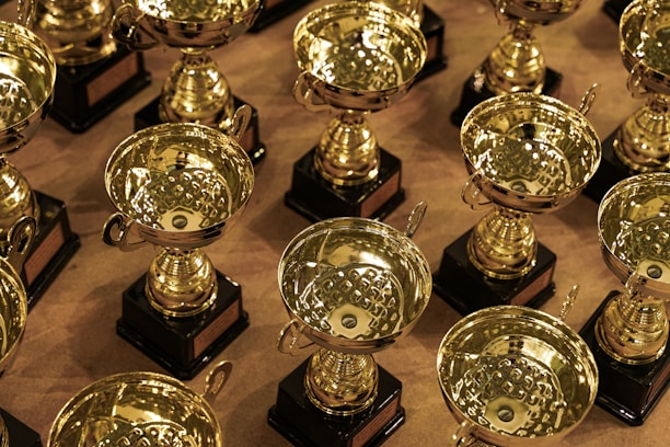 a bunch of trophies sitting on top of a table