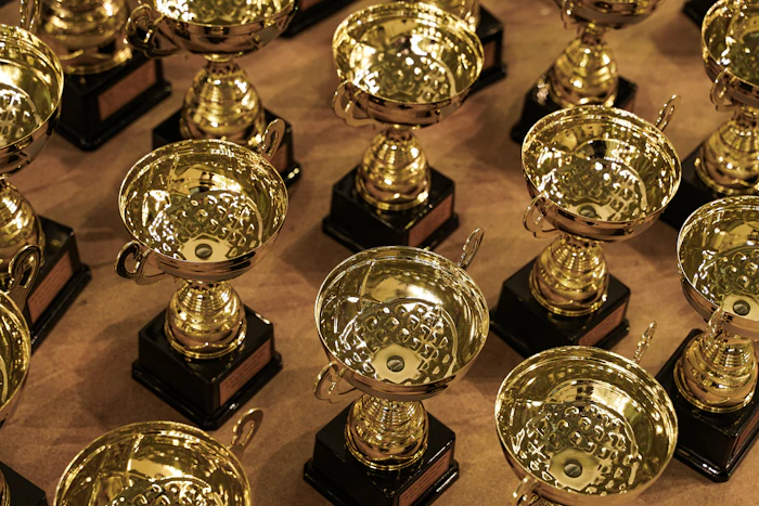 Corporate Excellence Trophy