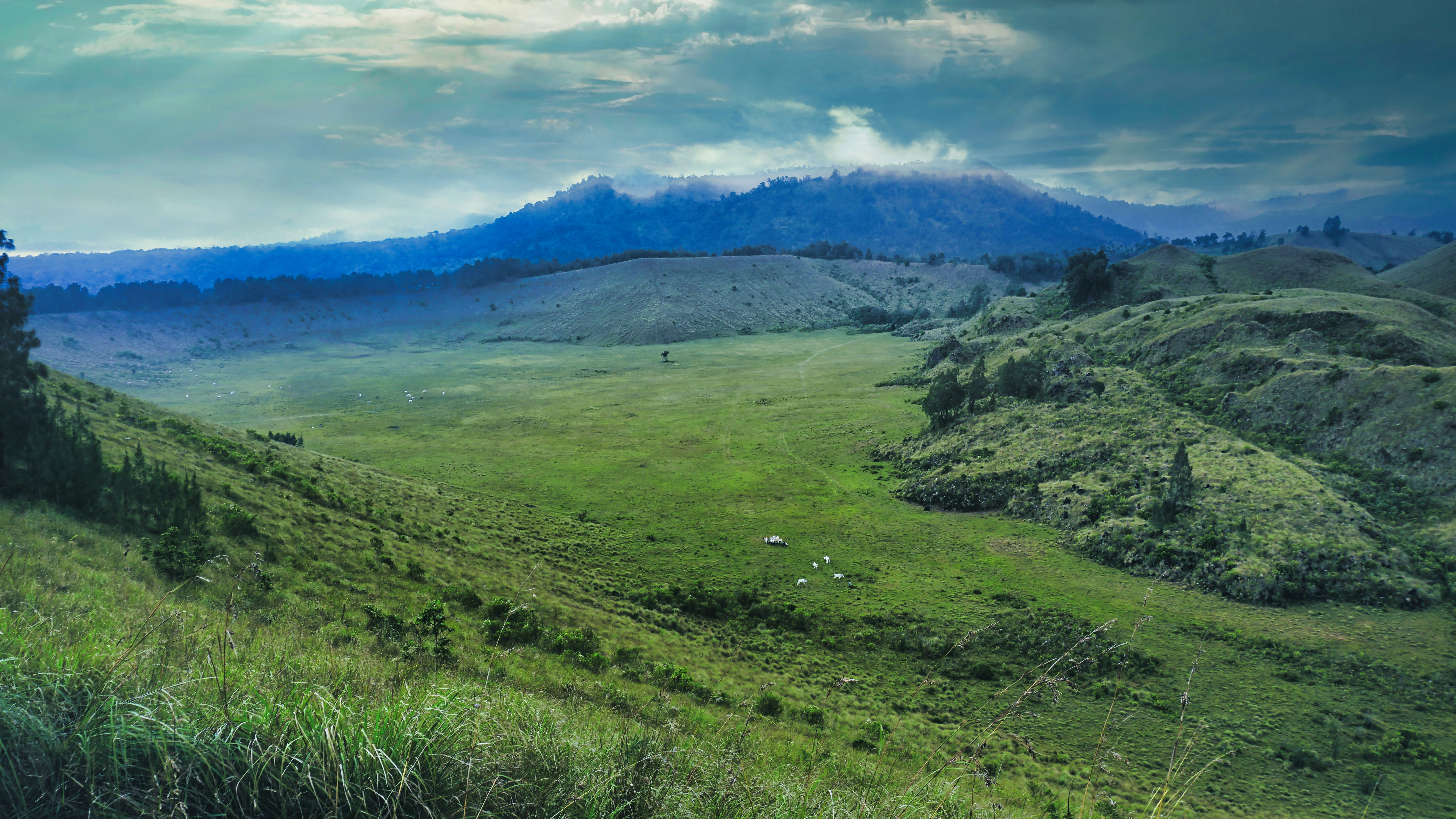 lereng bukit hijau subur yang ditutupi rumput hijau subur