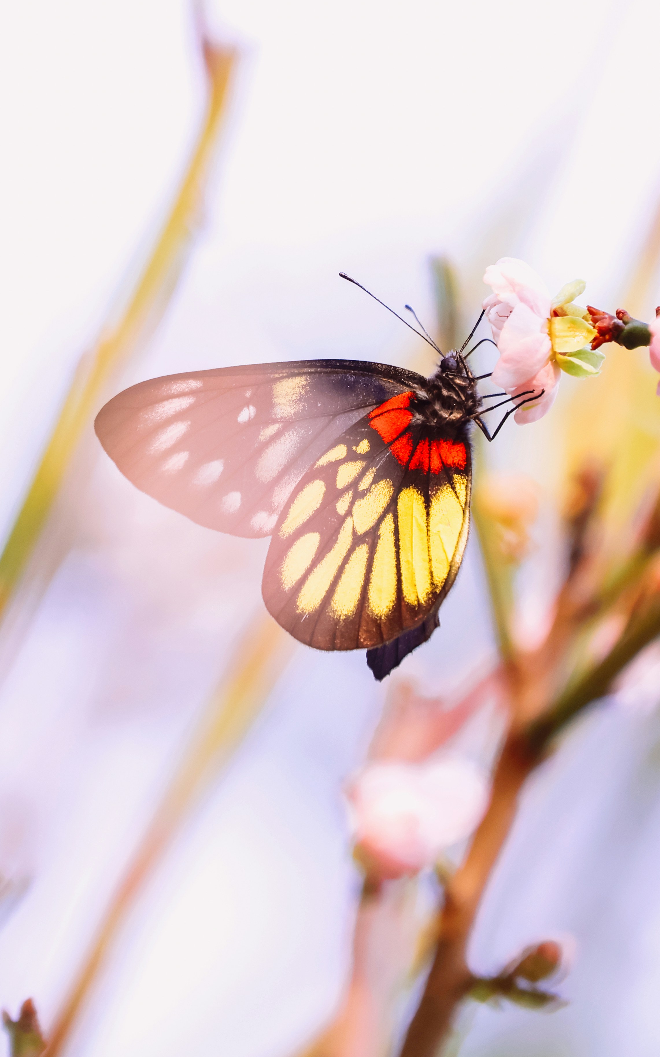 Photo by dickenslin76