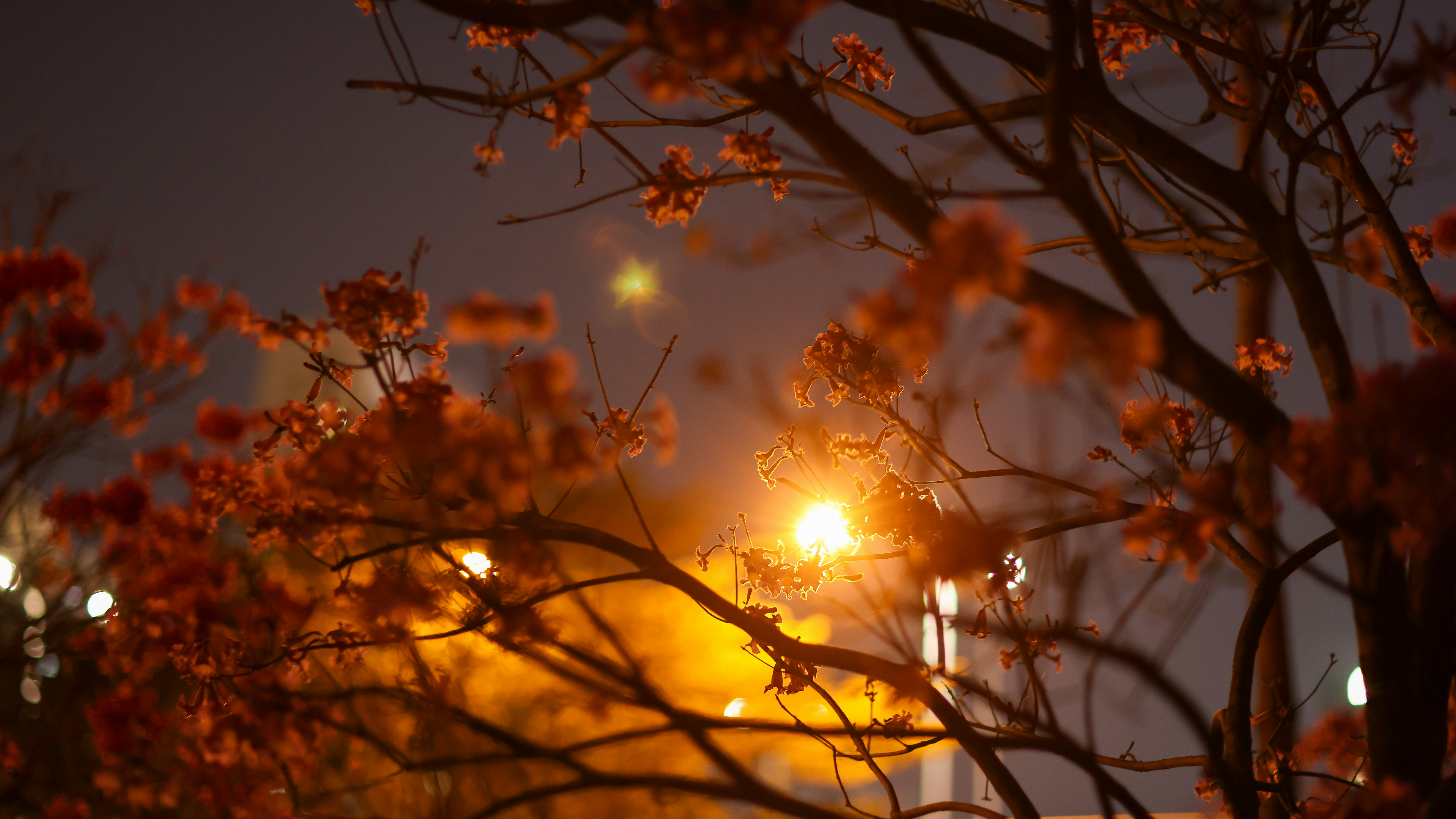 Photo by dickenslin76