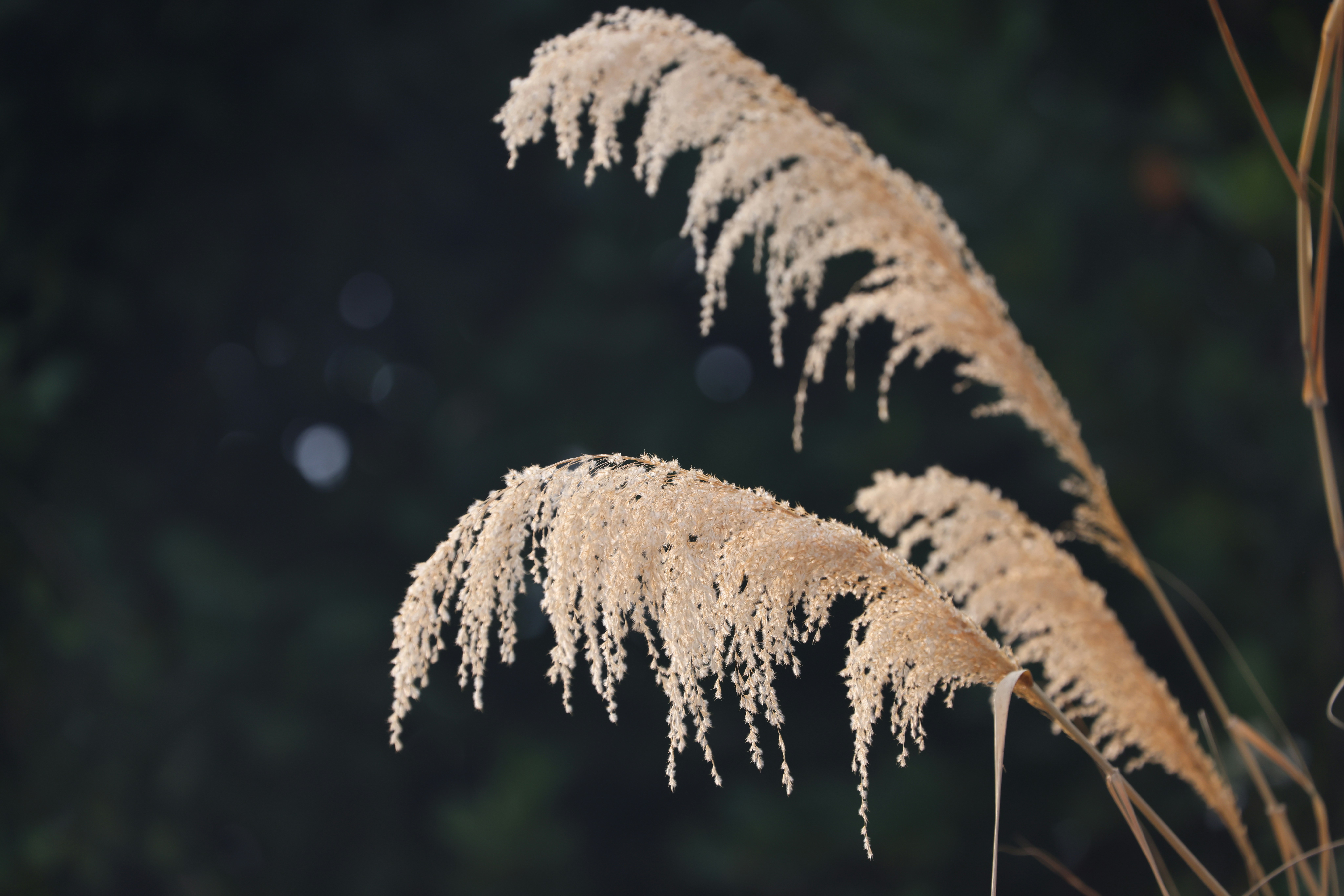 Photo by dickenslin76