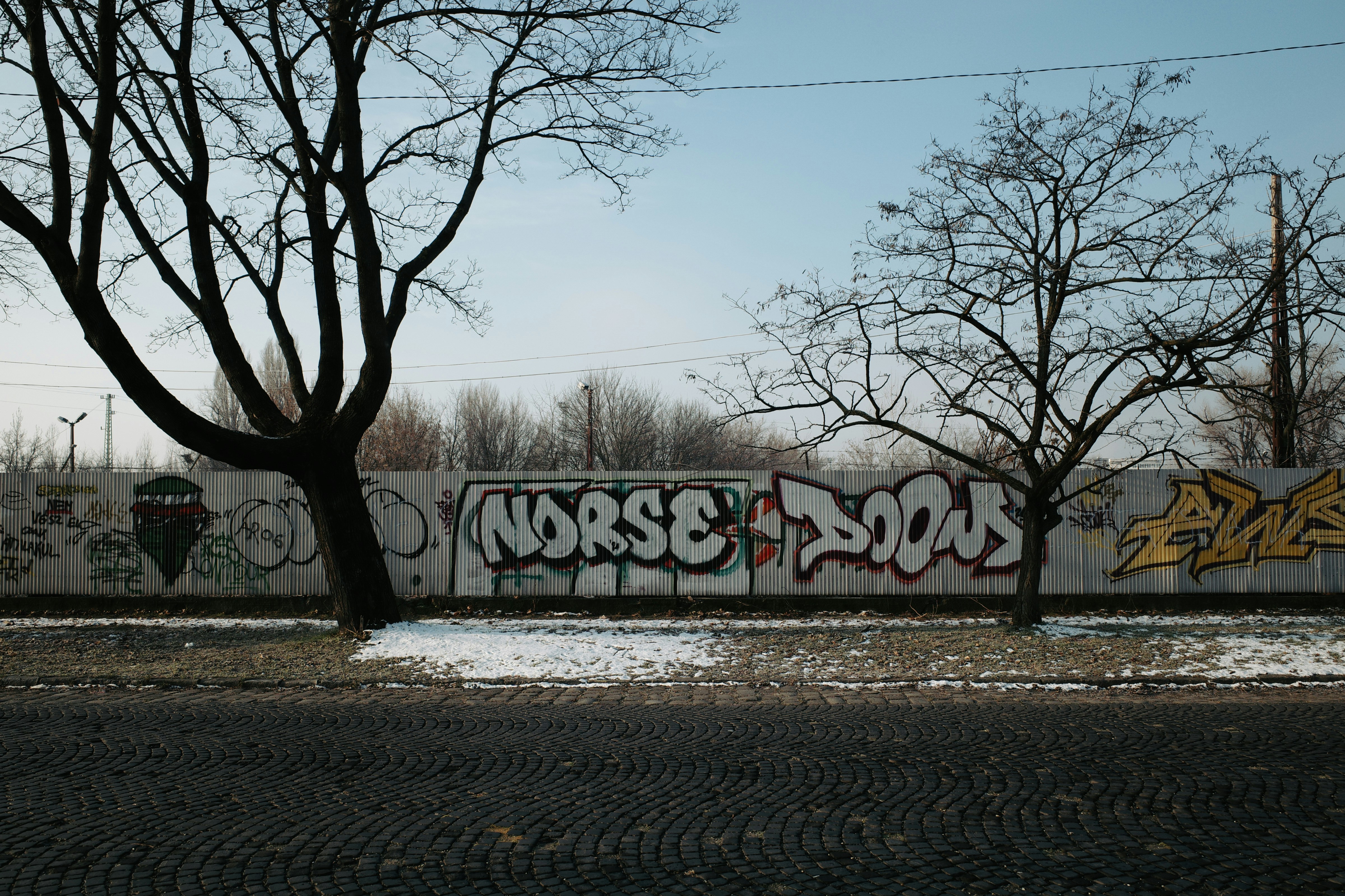 photo-1705927630835-3a54dbfe0f41?ixid=M3