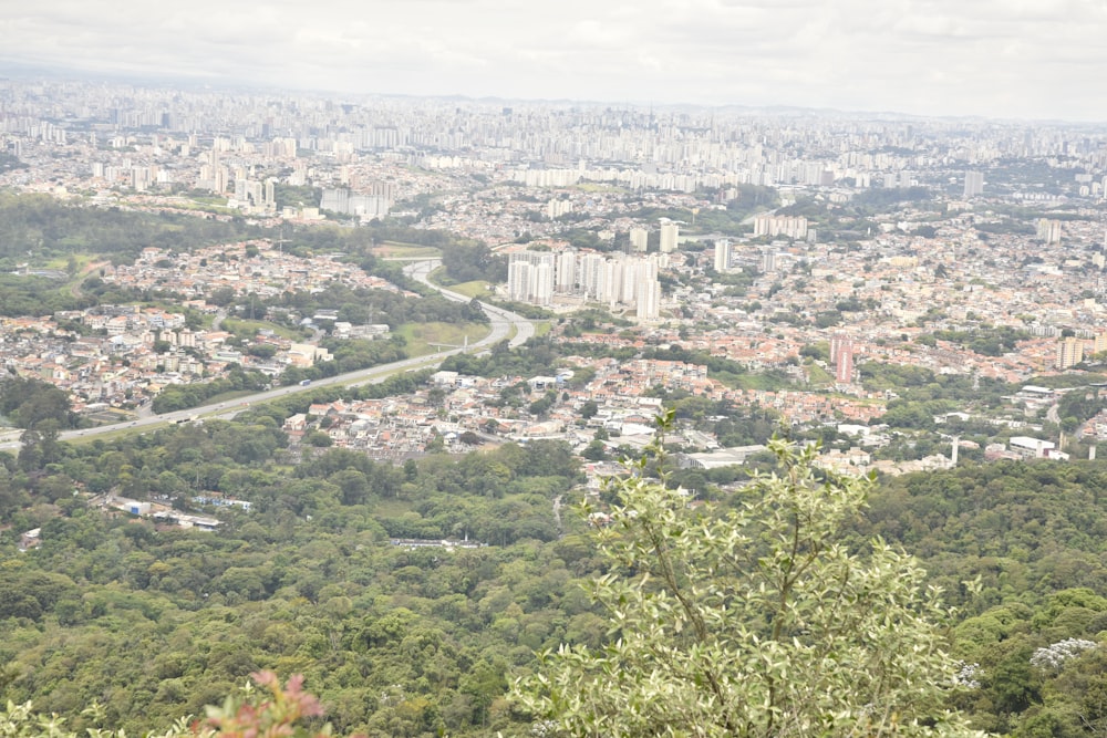 a view of a city from the top of a hill