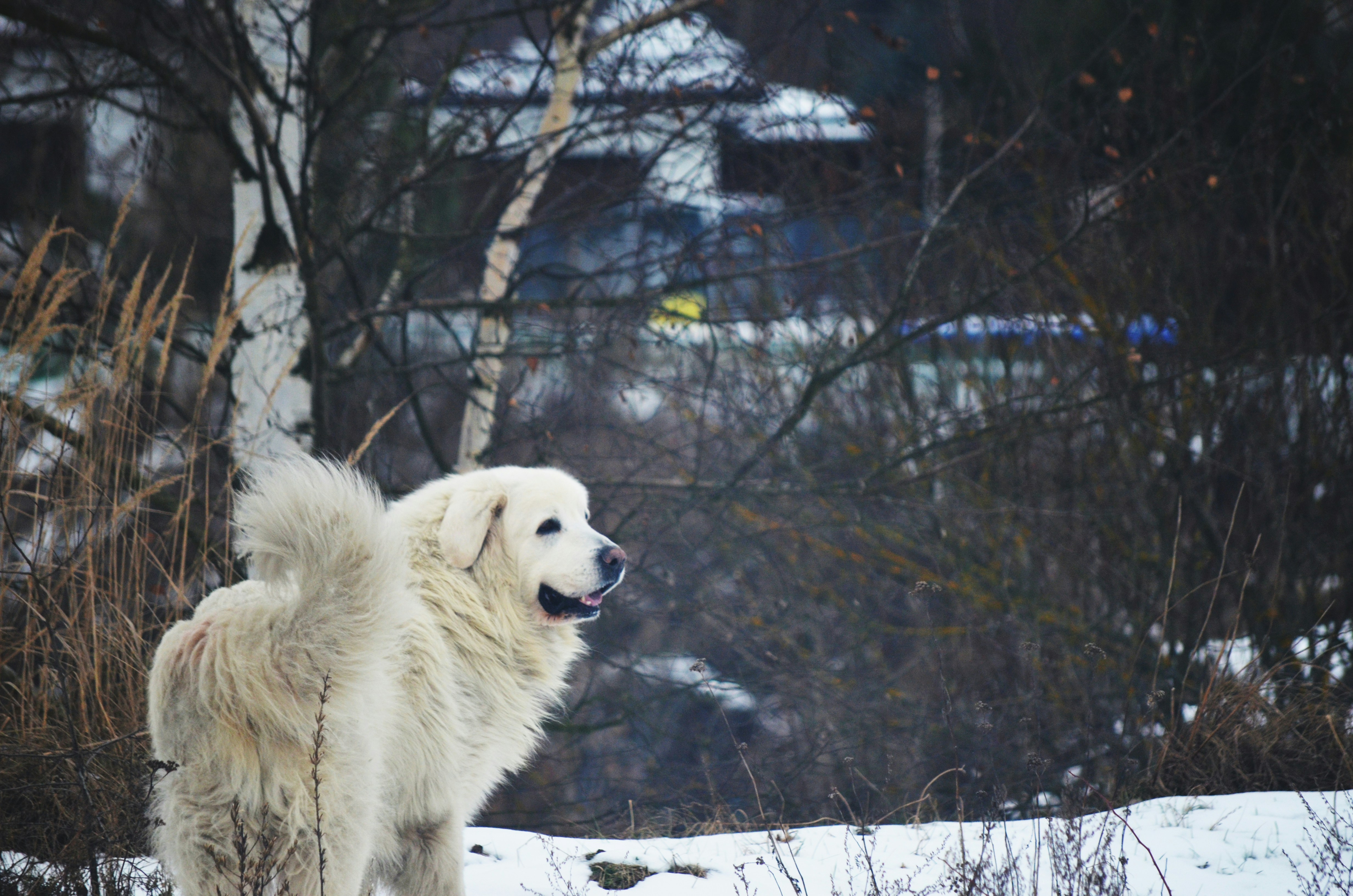 Photo by dominiklyko12