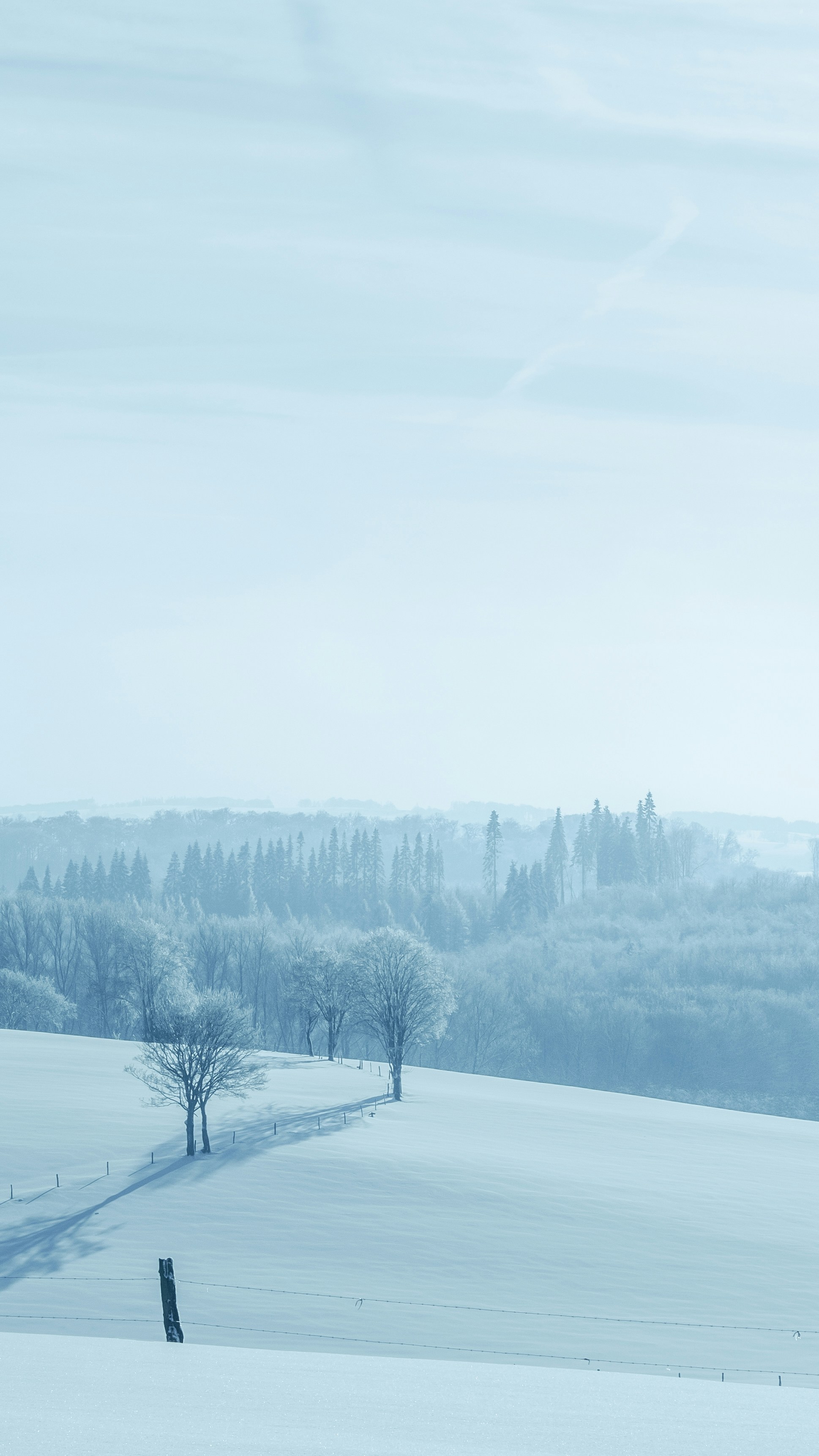 Photo by nhbraselmann