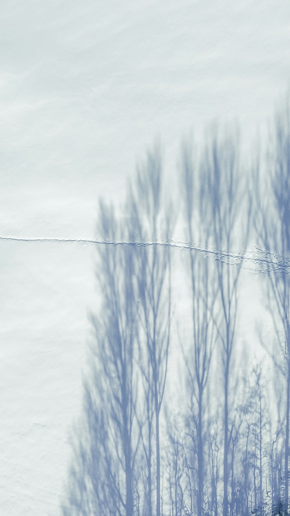 a man riding skis down a snow covered slope