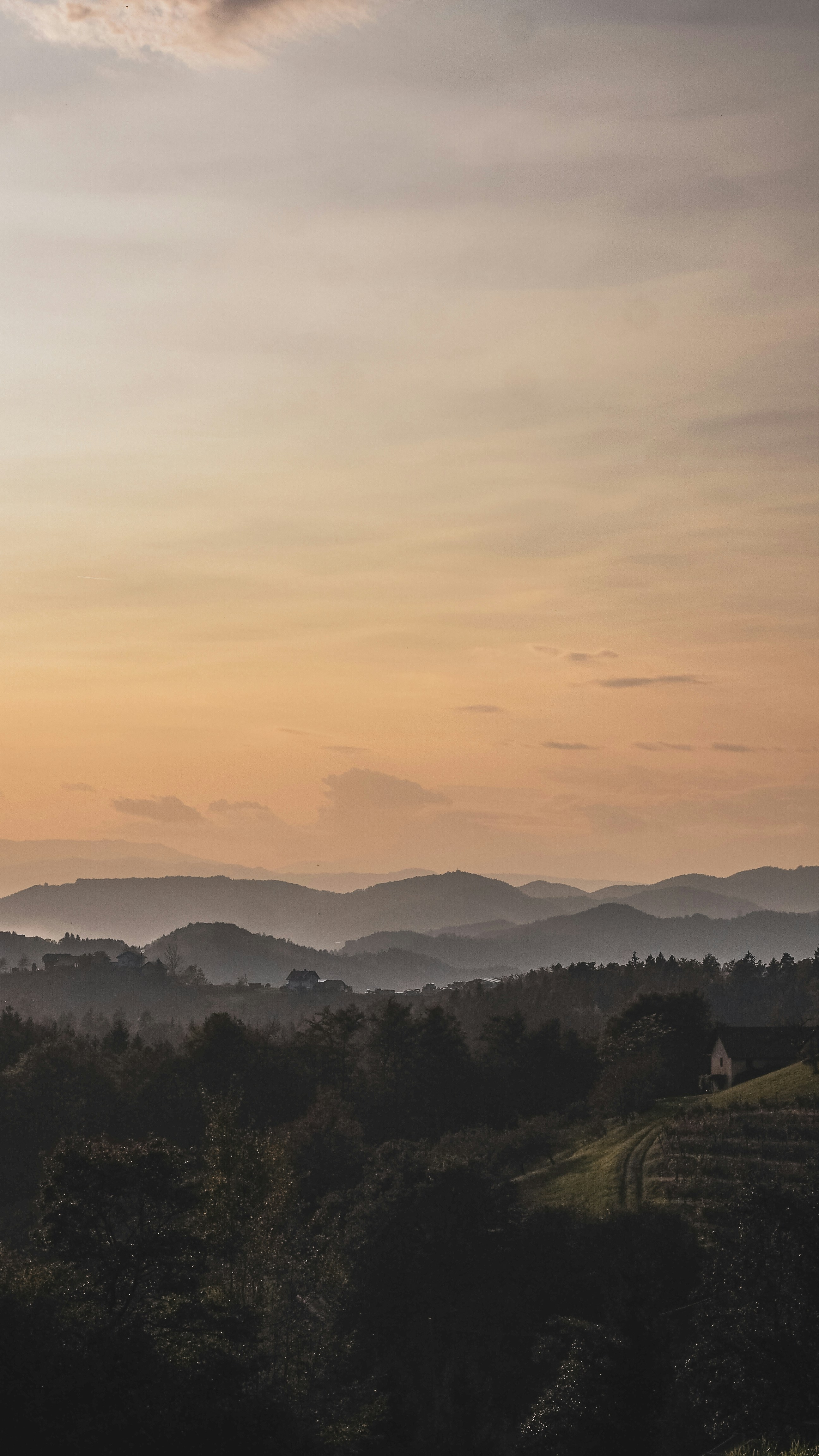 Photo by nhbraselmann