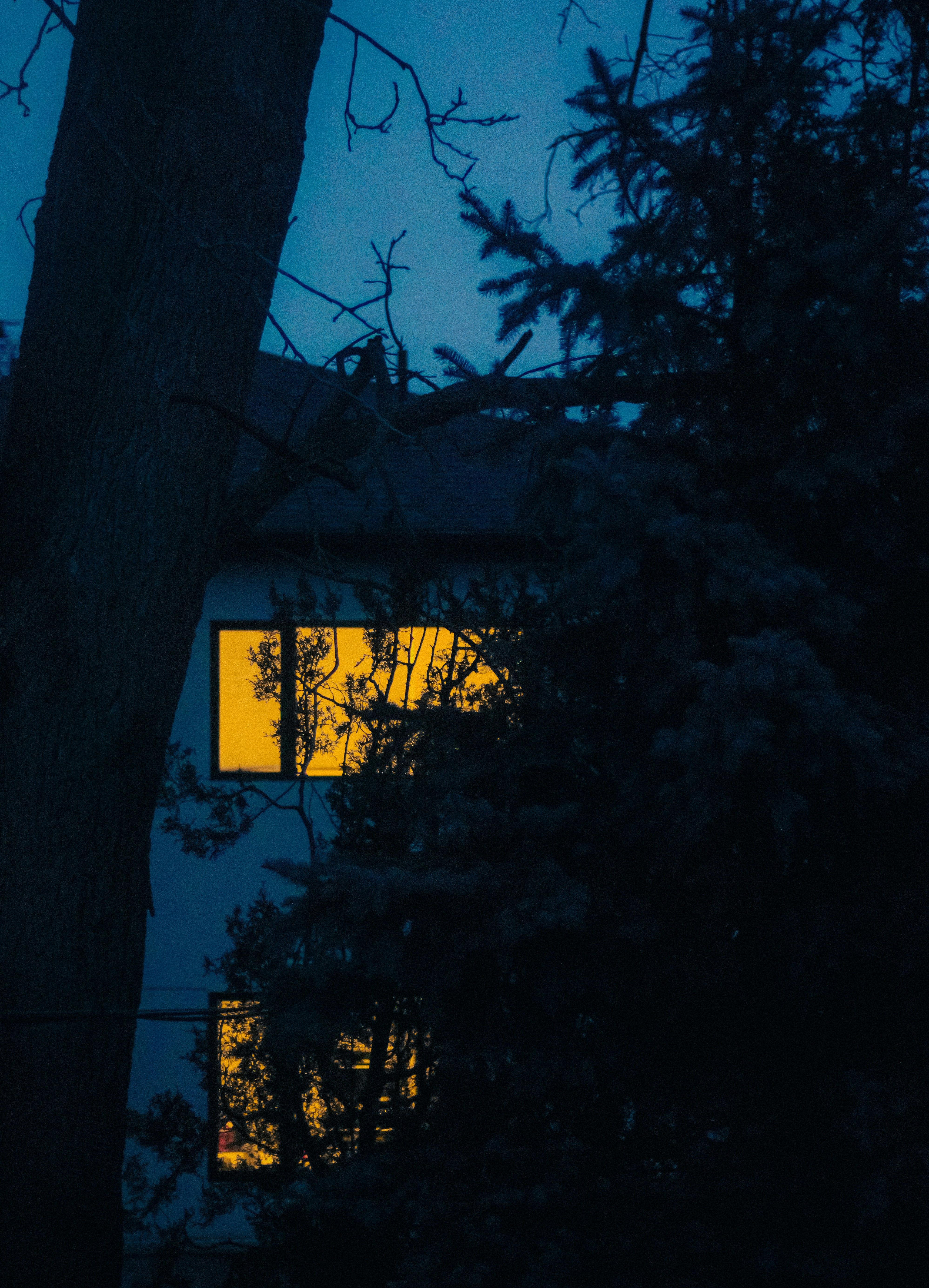 Photo by linusbelanger