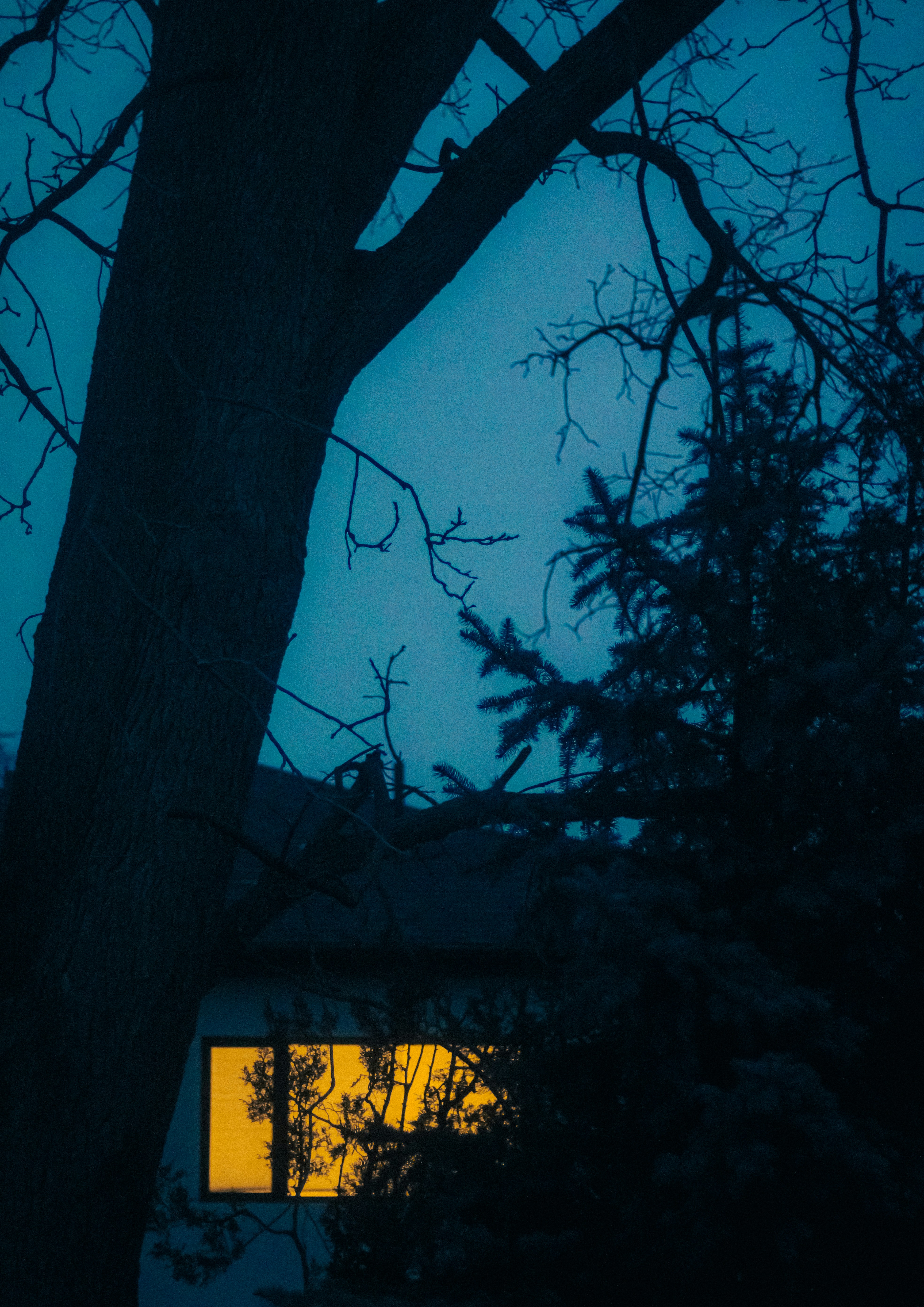 Photo by linusbelanger