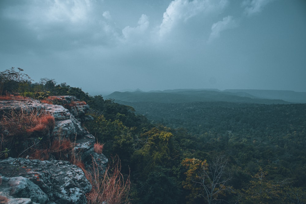 a view of a rocky outcropping with trees and mountains in the distance