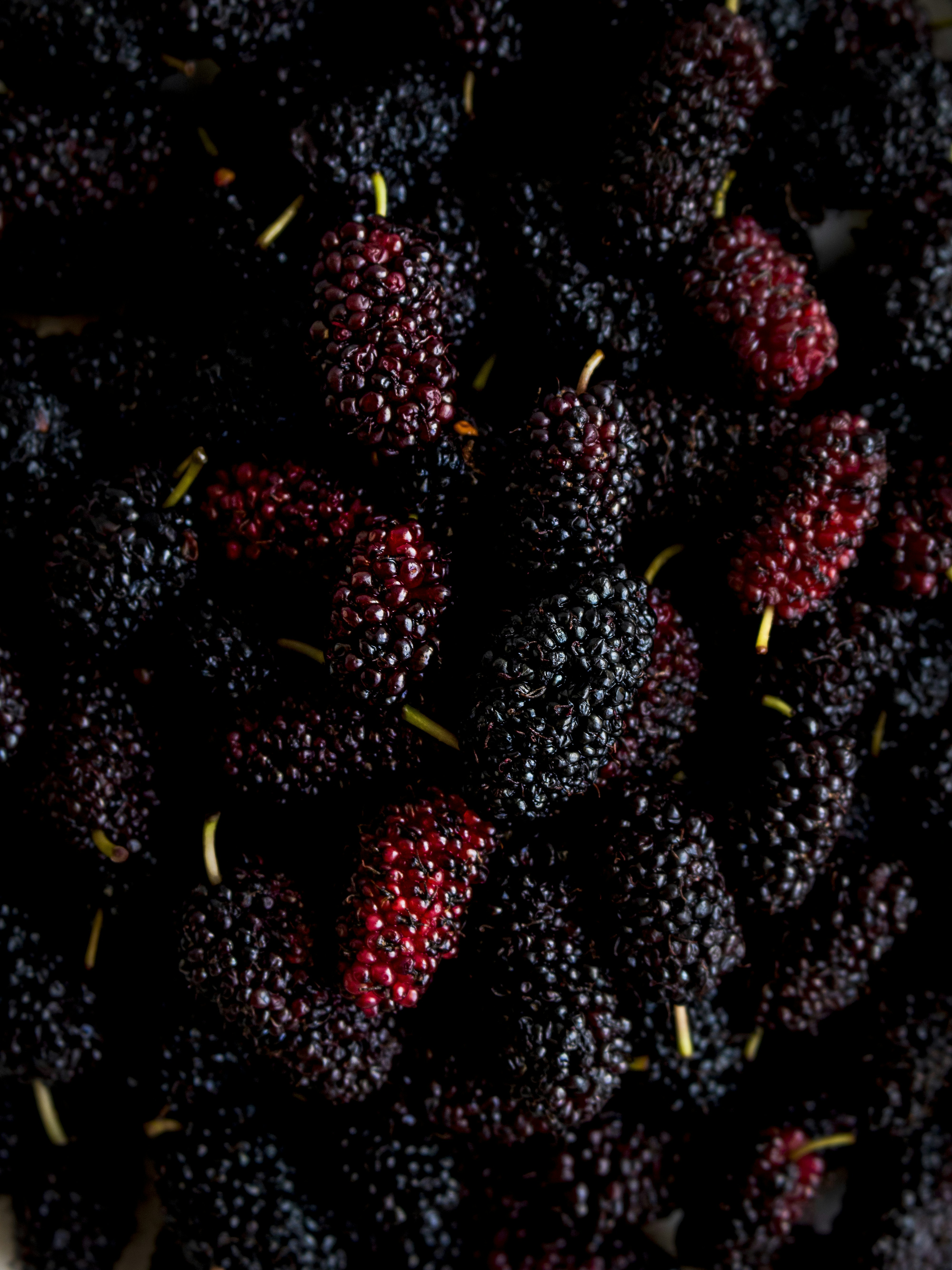 Best Antioxidant-Rich Foods to Fight Premature Skin Aging