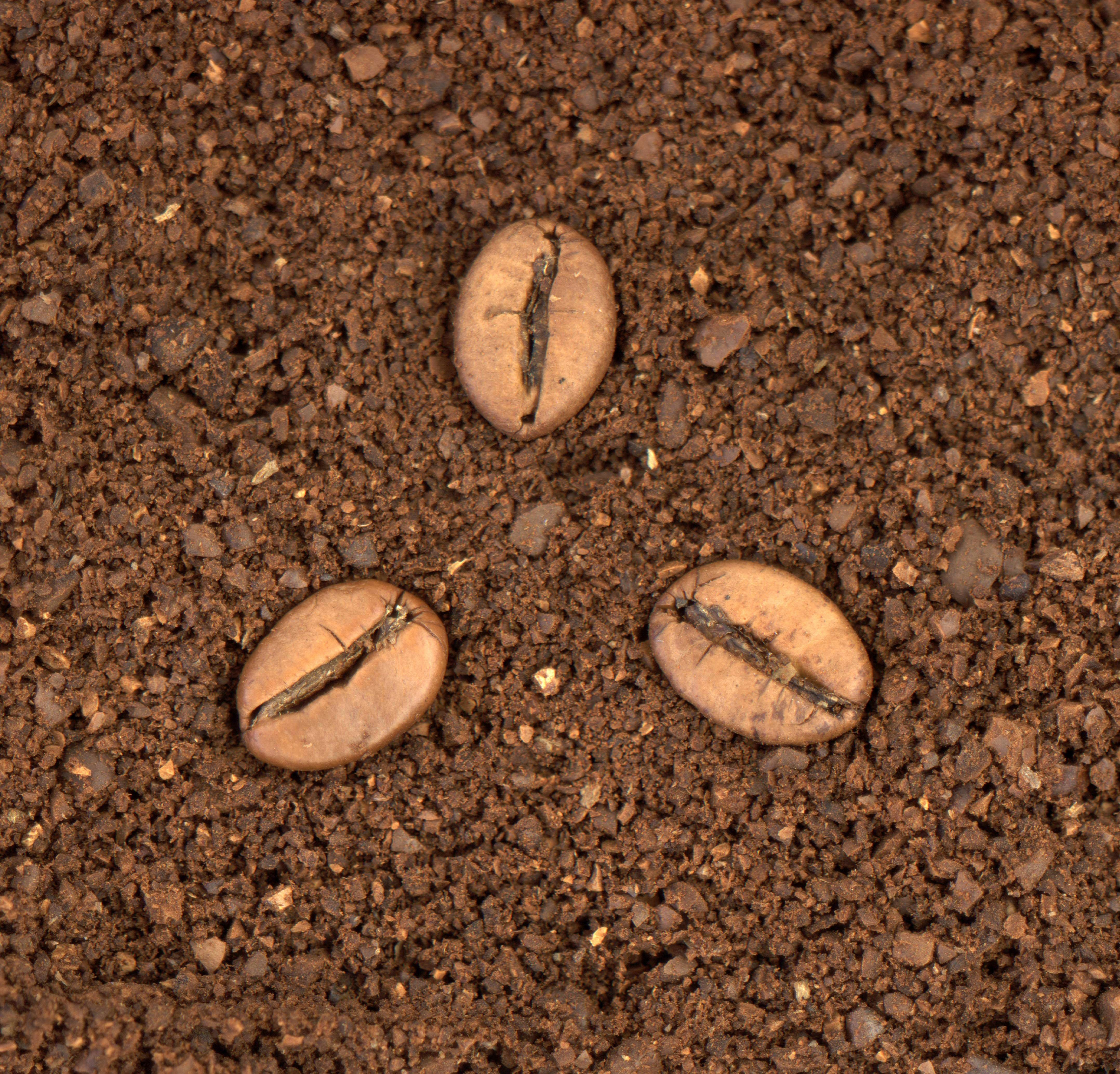 a couple of rocks sitting on top of a dirt field