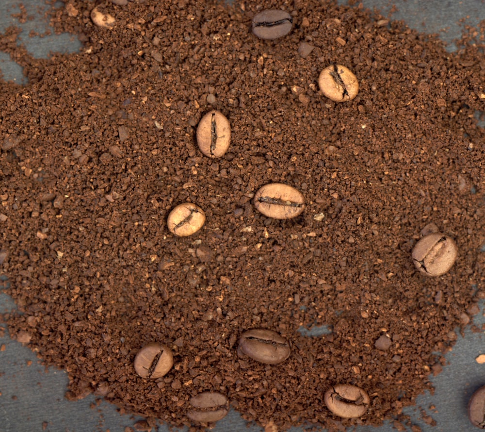 a pile of dirt with coffee beans on top of it