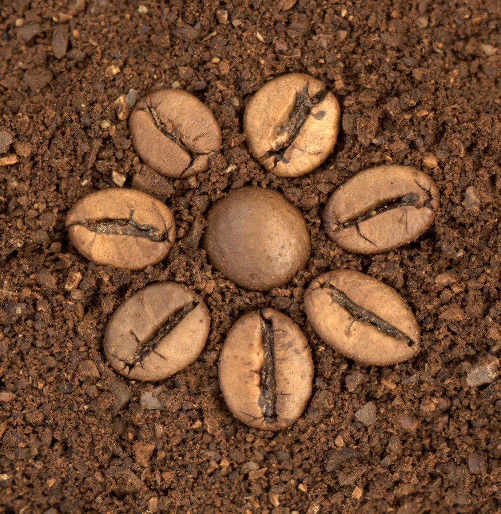 a group of rocks sitting on top of a dirt field