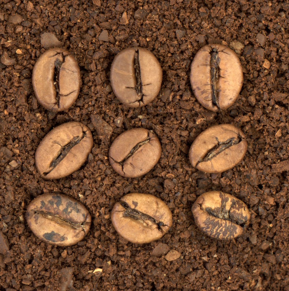 a close up of rocks and dirt on a ground