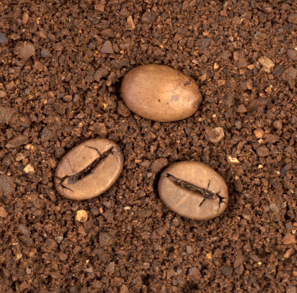 a couple of rocks sitting on top of a dirt ground