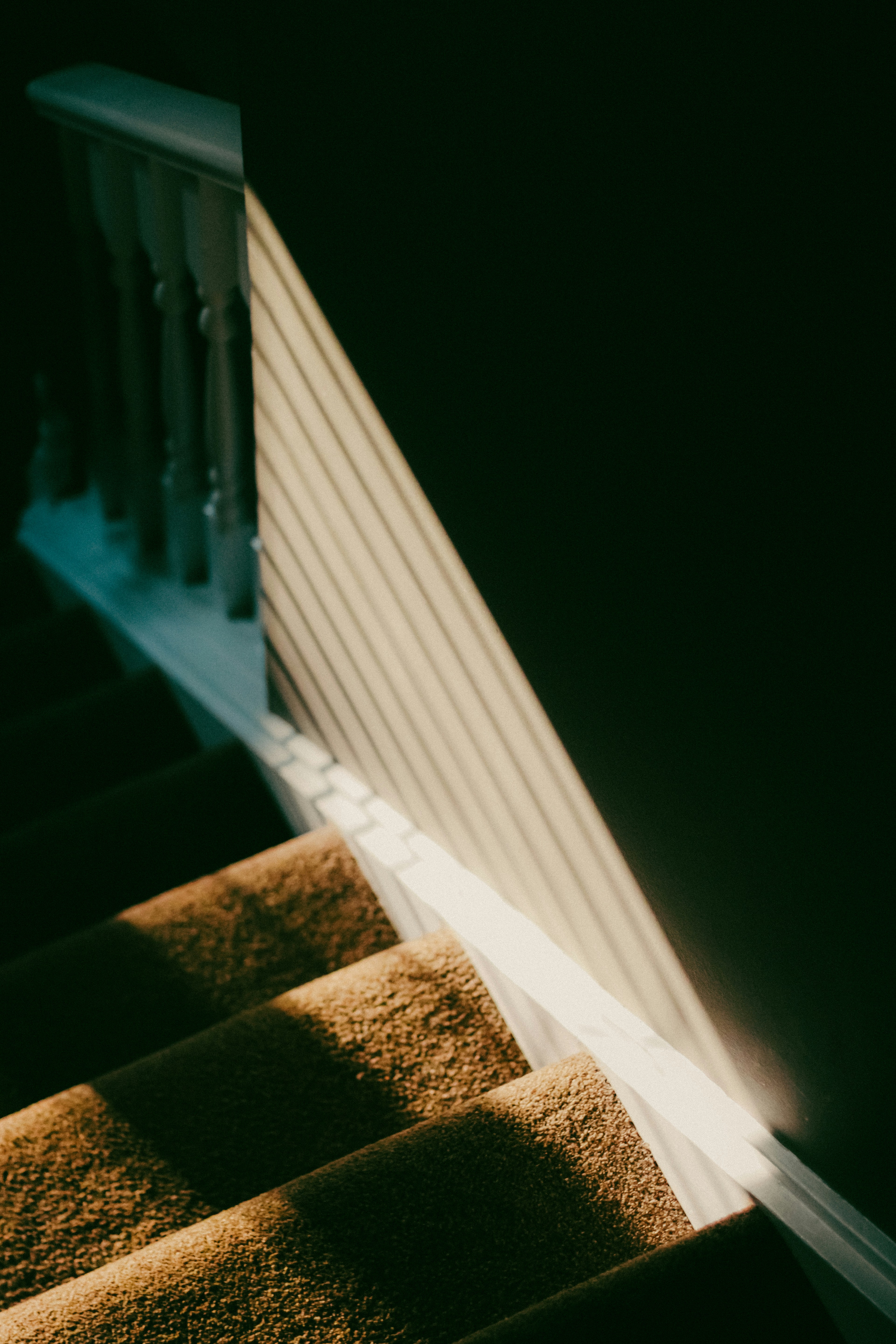 Photo by linusbelanger