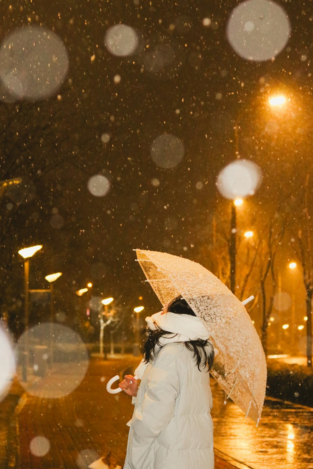 una mujer caminando por una calle sosteniendo un paraguas