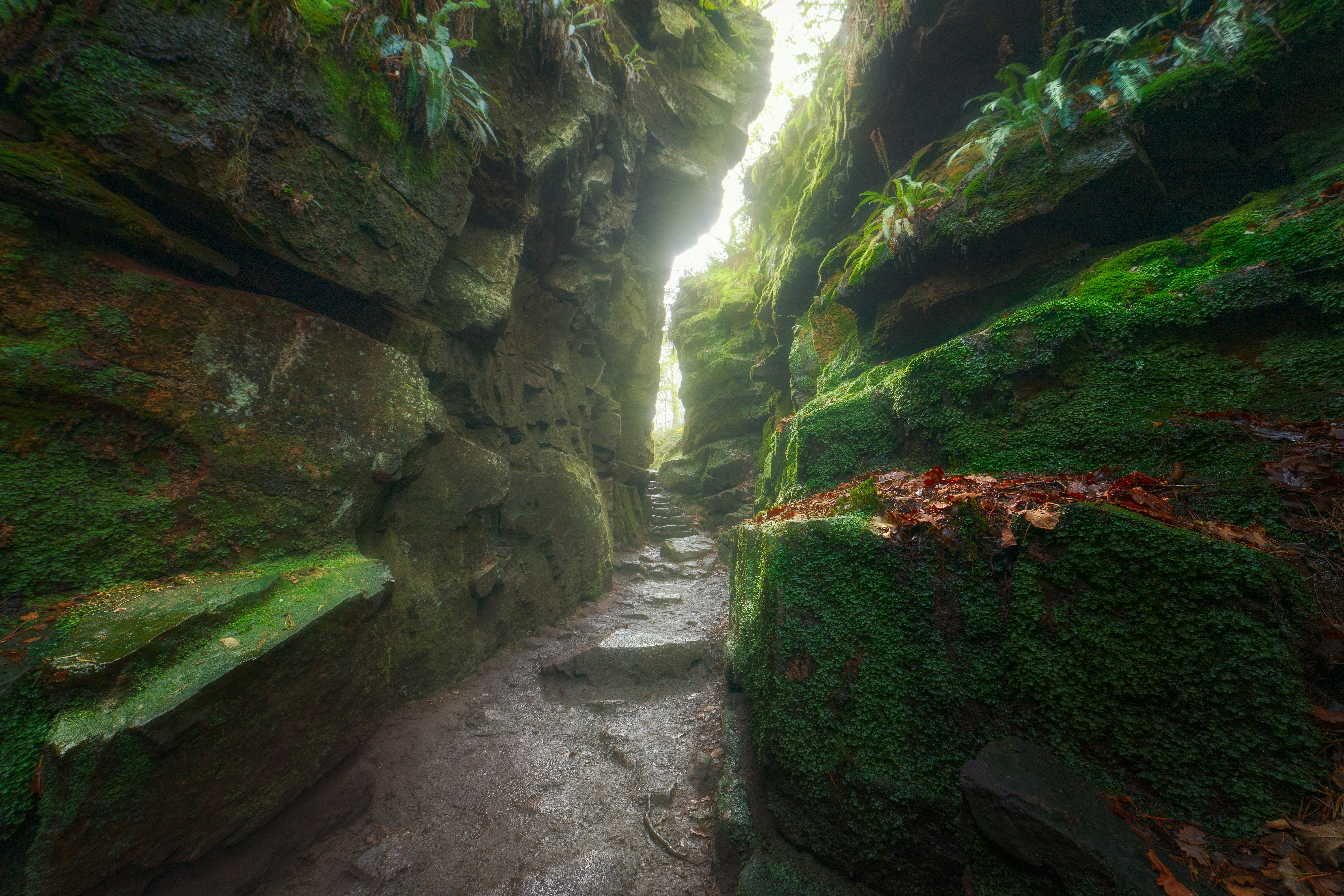 Cover Image for Luds Church & The Roaches Hike