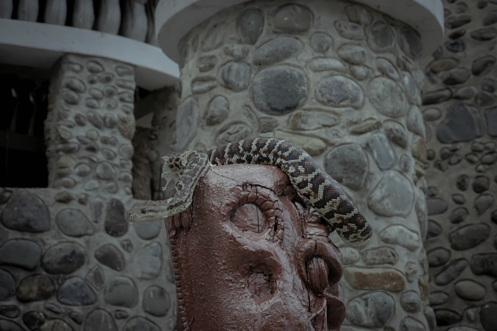 a statue of a head with a snake on top of it