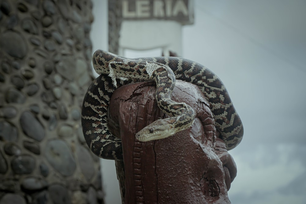 a large snake on top of a fire hydrant