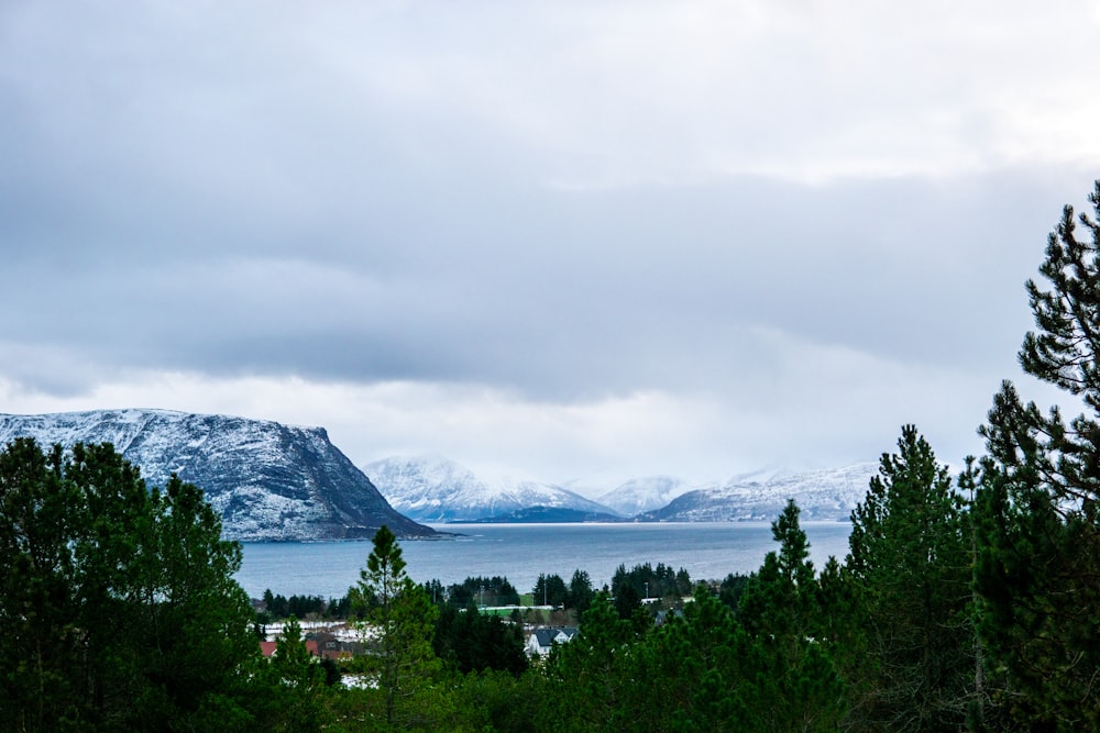 a view of a lake with mountains in the background