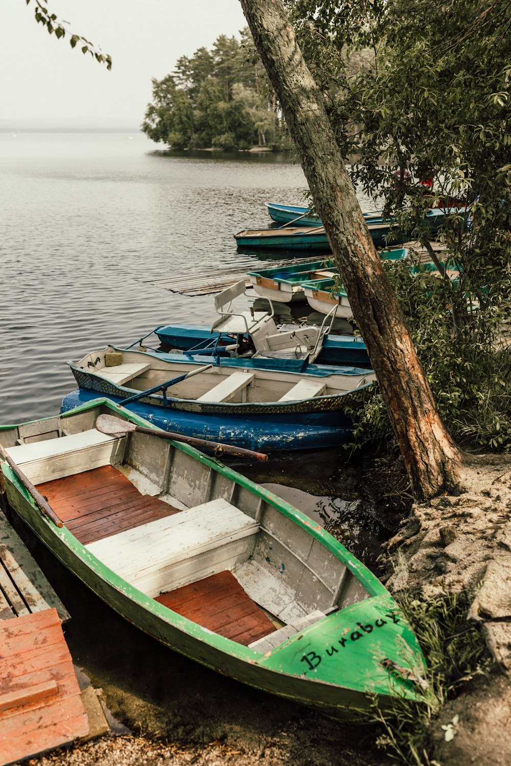 a row of boats sitting on the shore of a lake