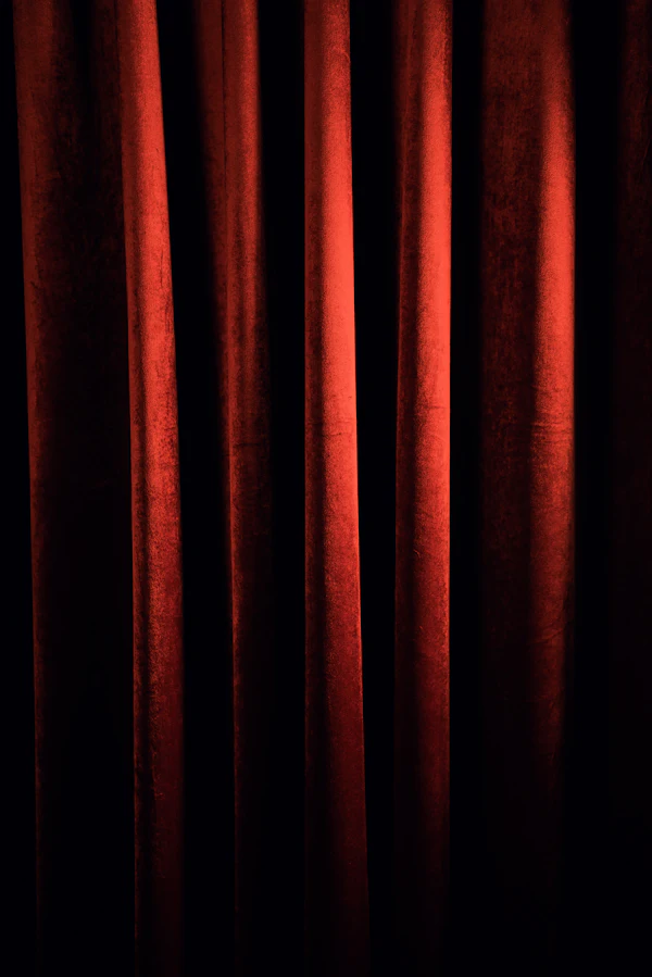 Dark velvet pleated drapery