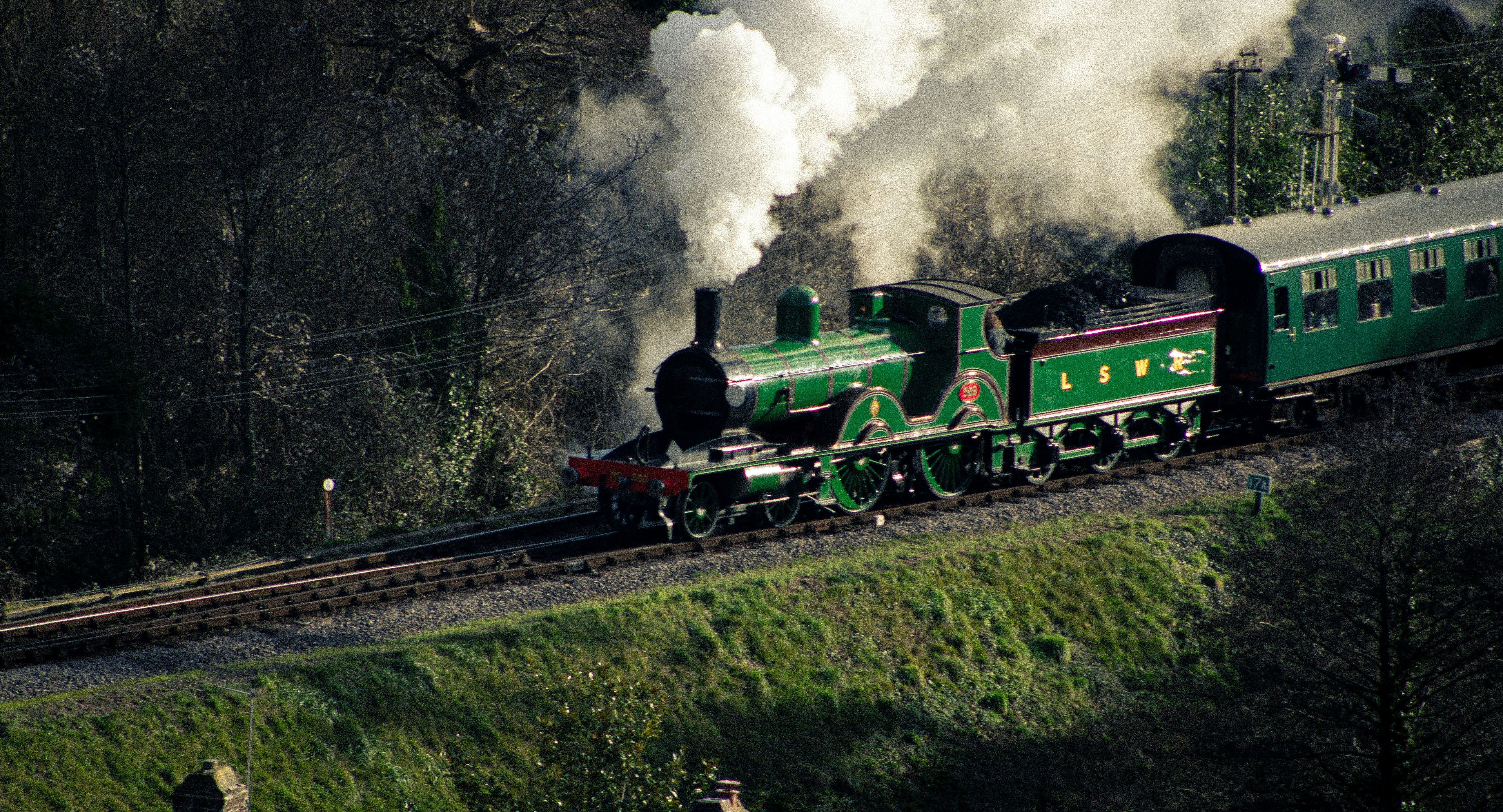 Photo by thechickennugget