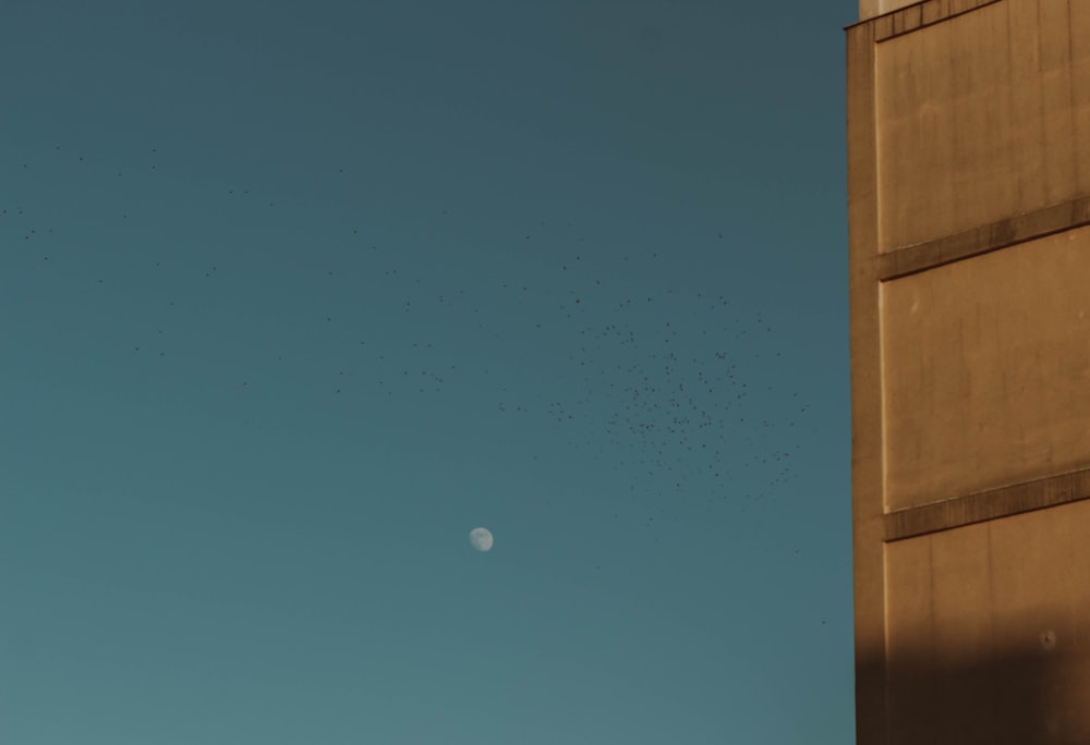 a group of birds flying over a tall building