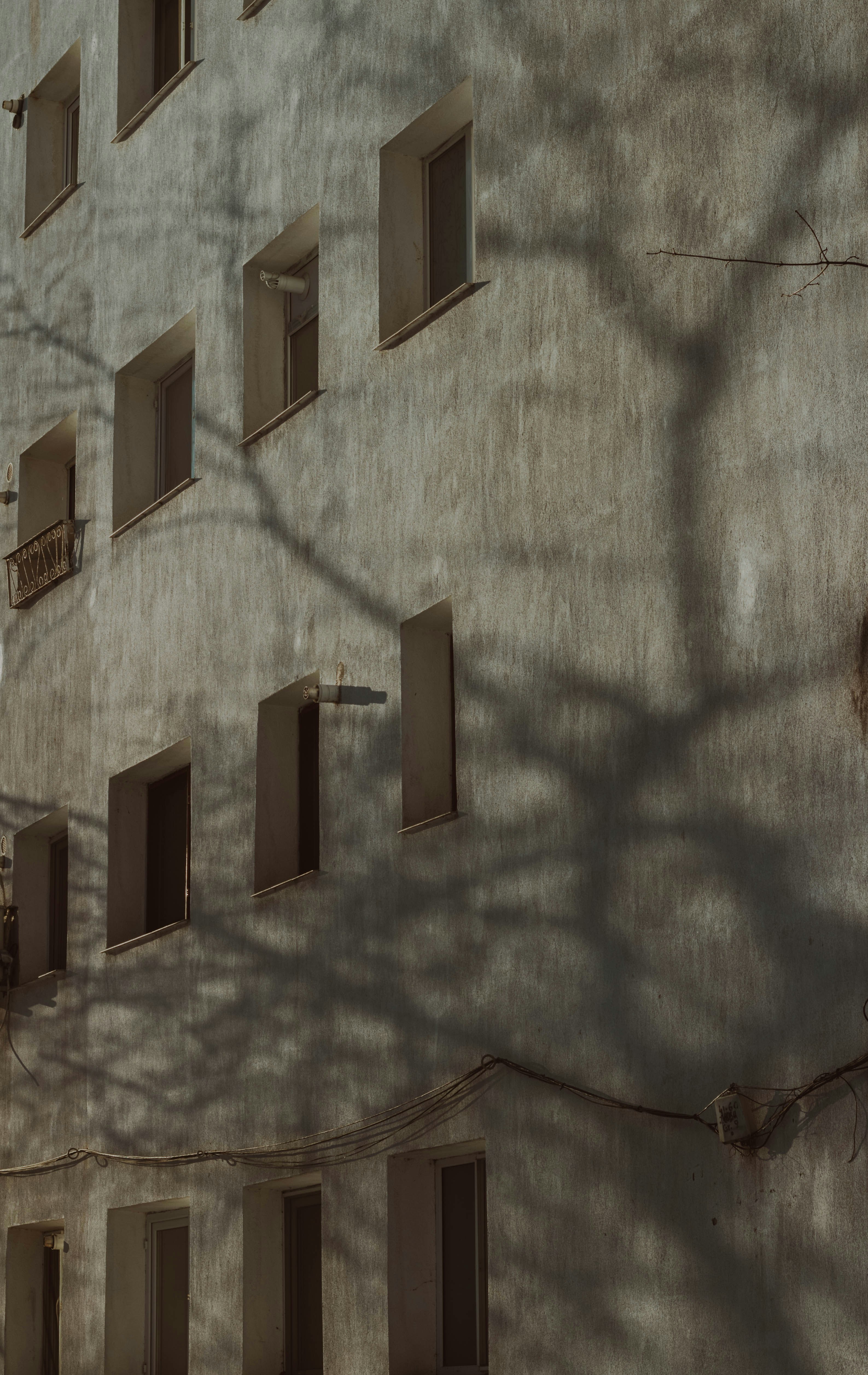 Photo by mari_oleacu