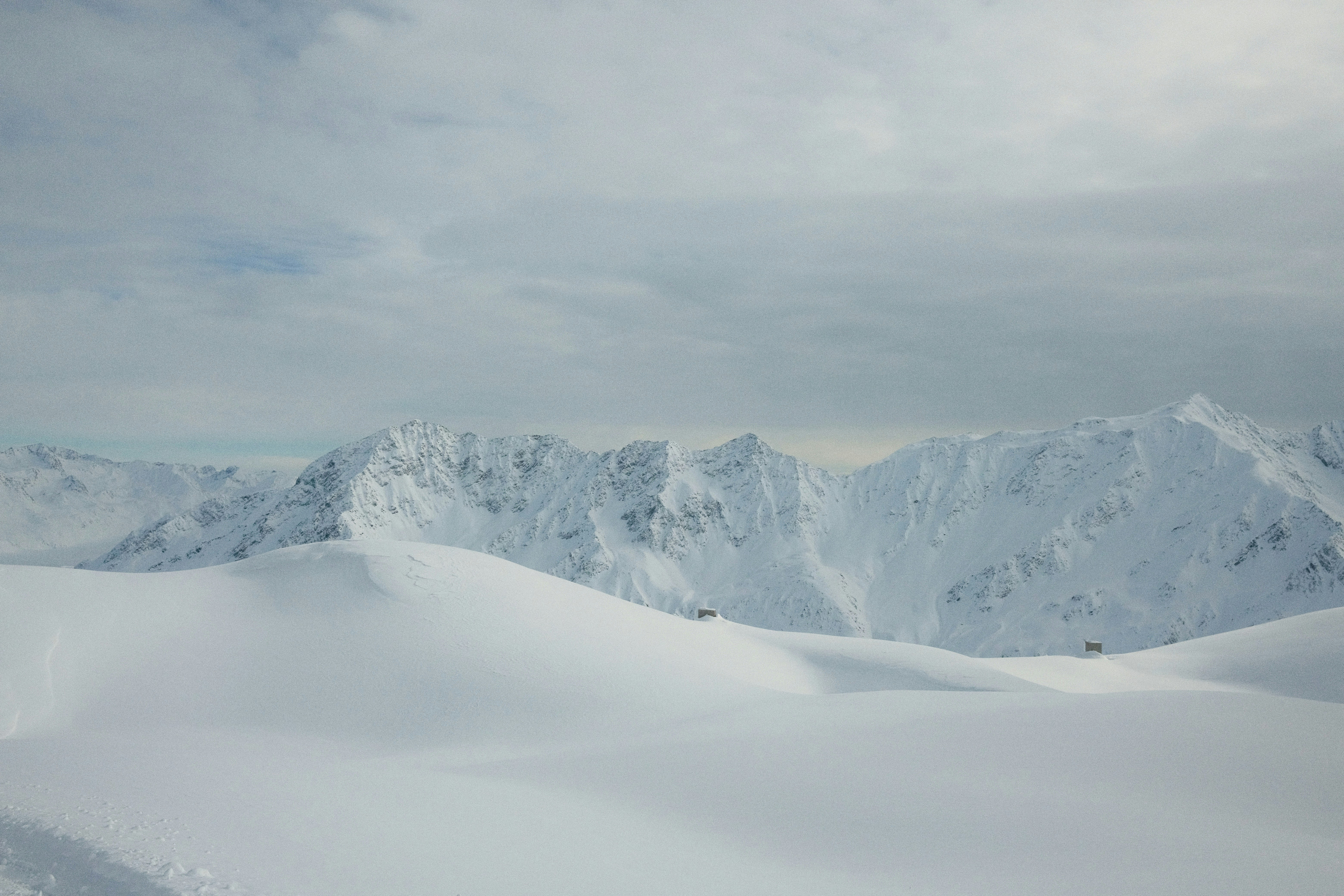 Photo by bring_shrubbery