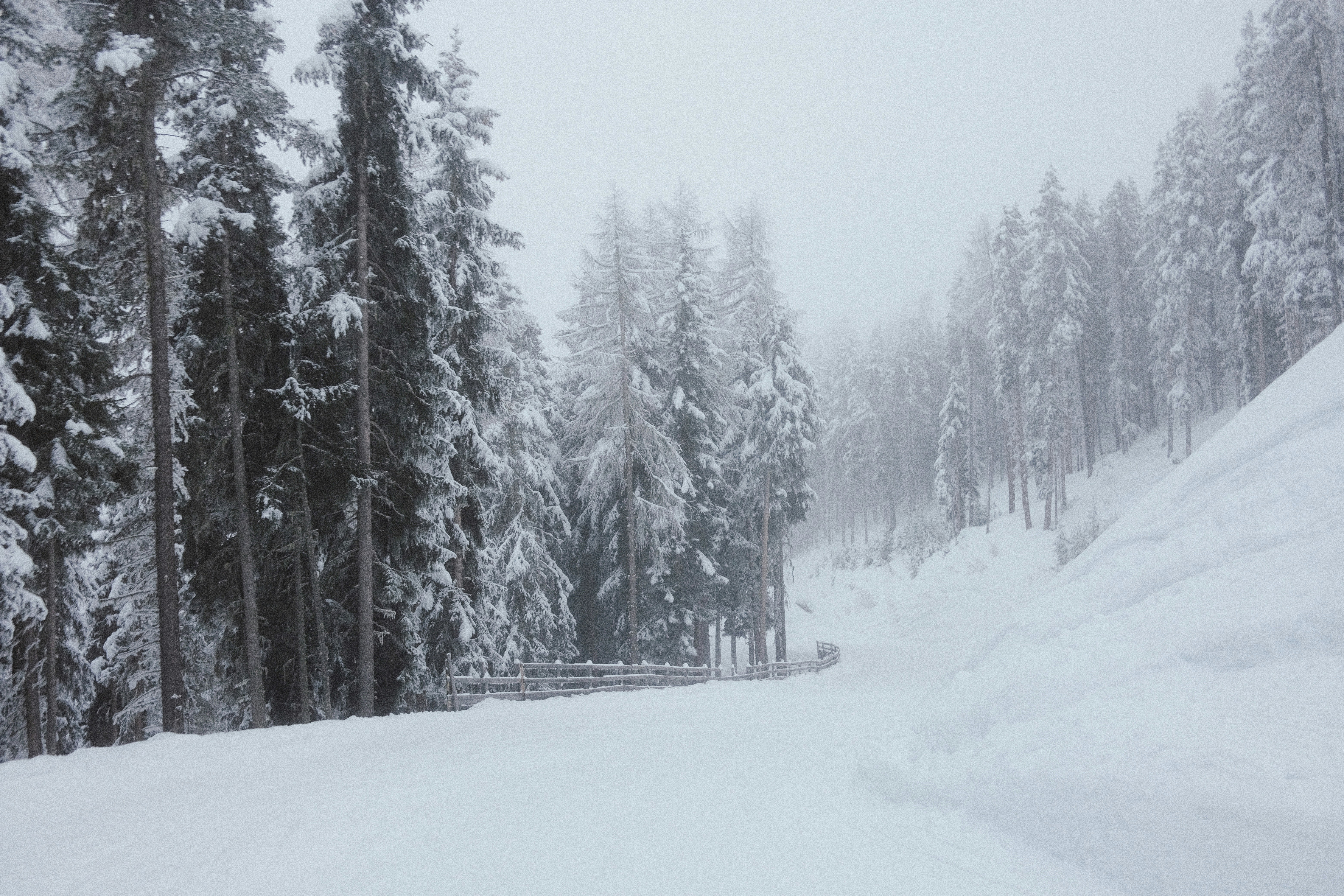 Photo by bring_shrubbery