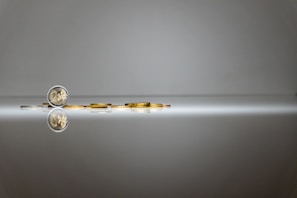 a silver and gold object with a reflection in the water