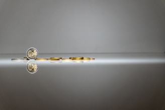 a silver and gold object with a reflection in the water