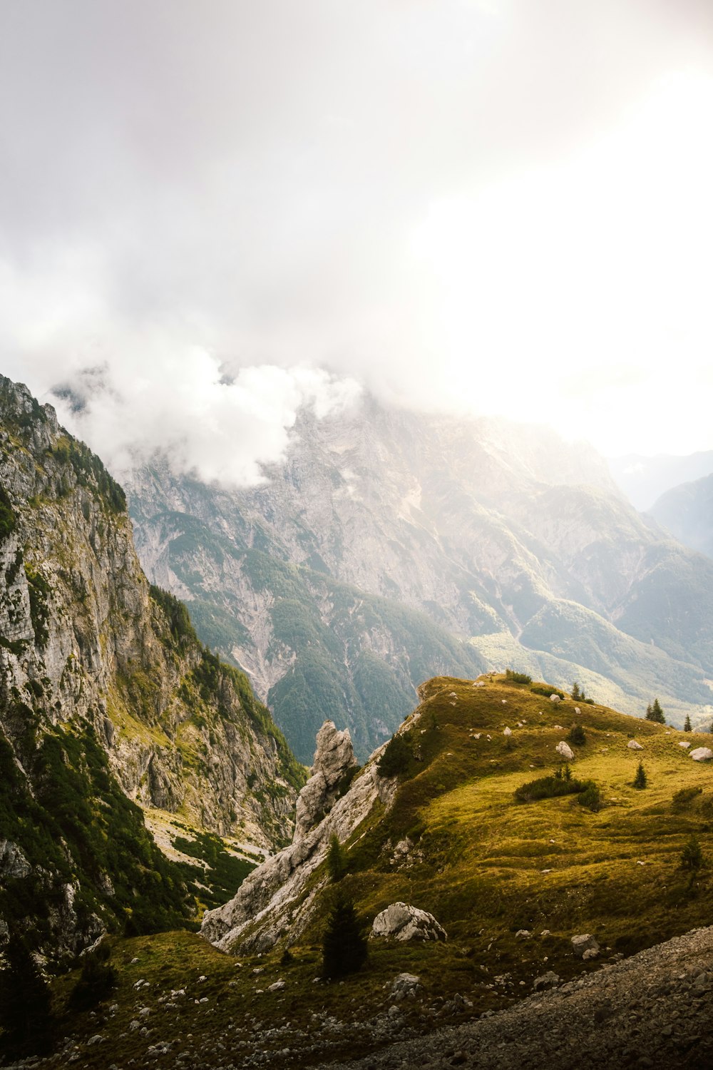 a view of a valley with mountains in the background